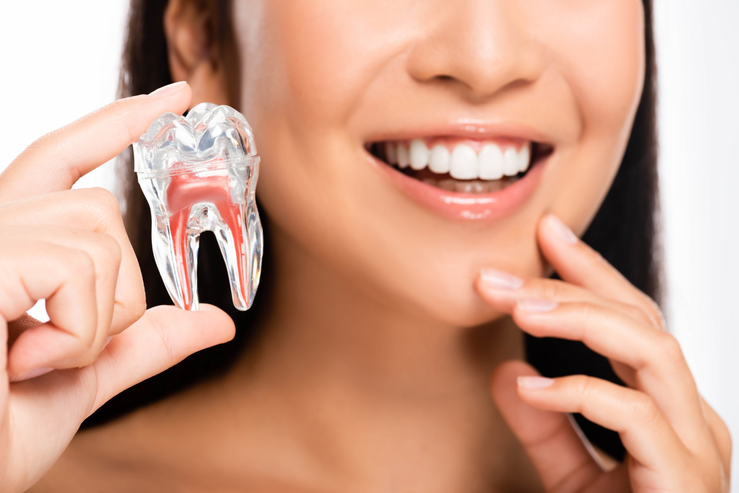 Enso Dental North Perth